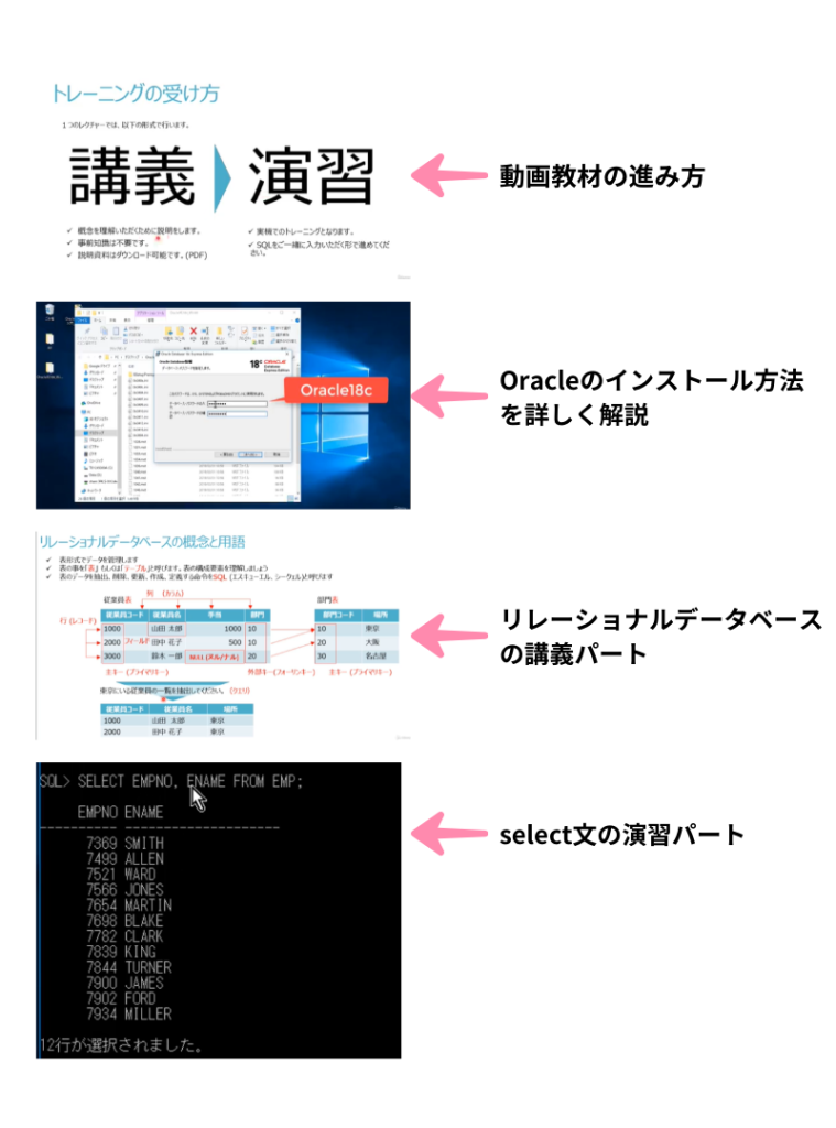 動画教材の流れの解説