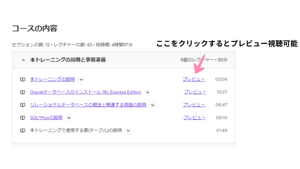 Udemyでのプレビューの視聴方法