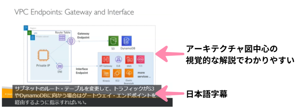 ANS動画教材の説明（図が中心で理解しやすい）