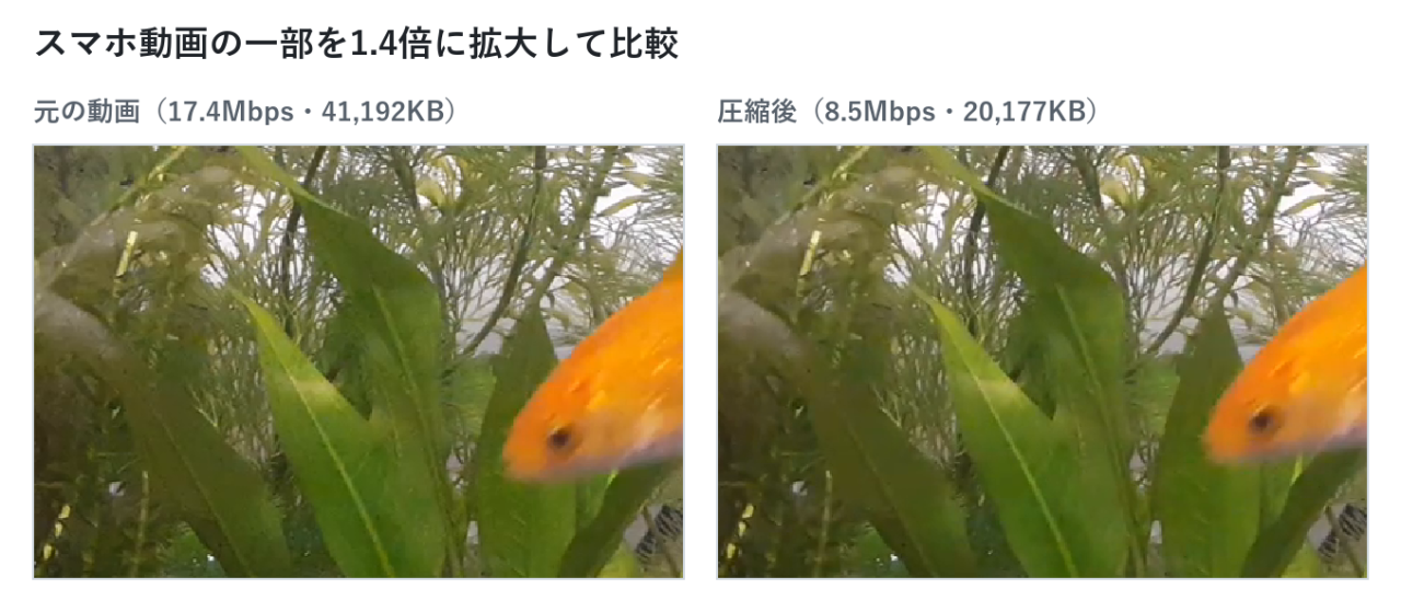 スマホ動画を圧縮前後で比較。拡大すると水草の細部がわずかに柔らかくなっている